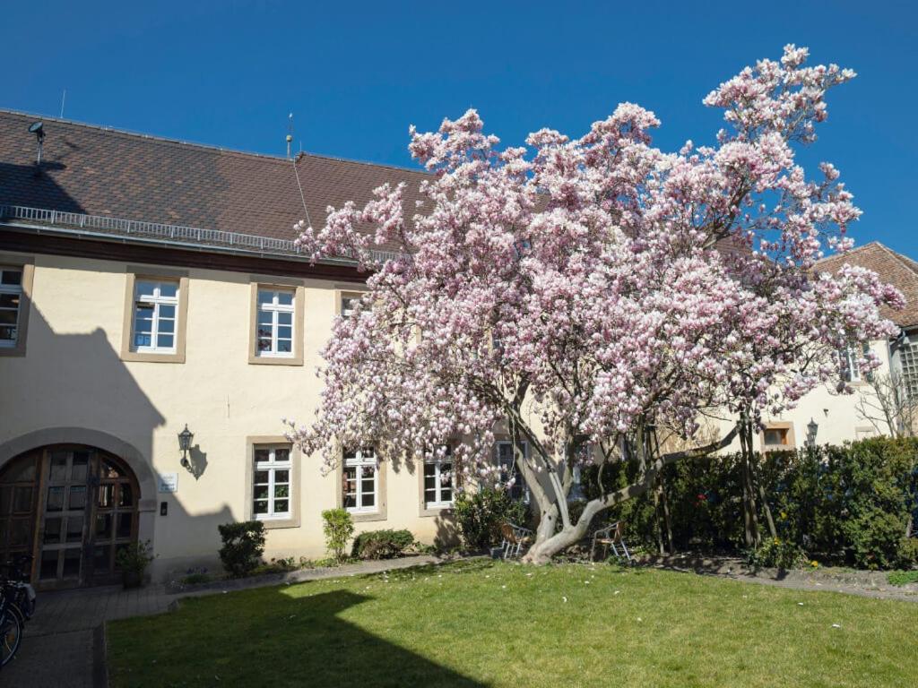 Hotel & Cafe Ritter Von Boehl Deidesheim Kültér fotó